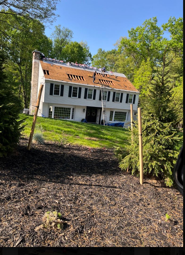 Carpentry & Wood Repair project photo