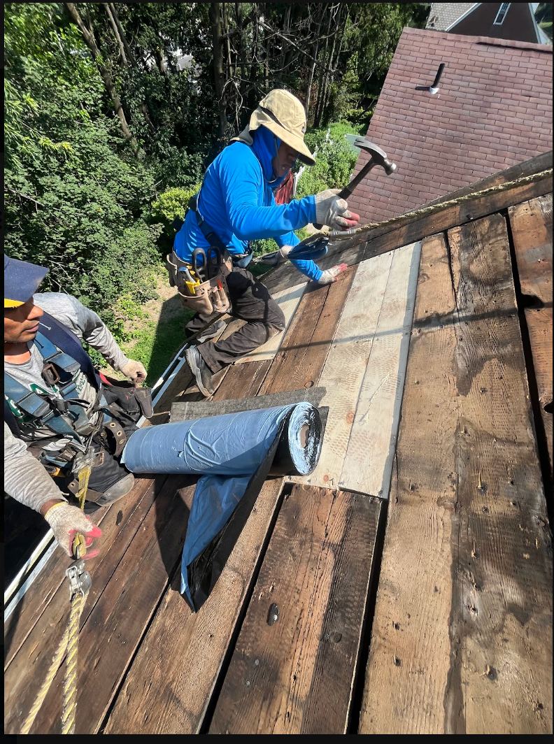 Carpentry & Wood Repair project photo